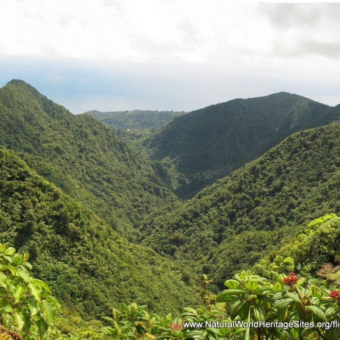 1000625122_89f424e477acccbe596f5f6c4cd414fa-27_09_2024, 10_56_09 am