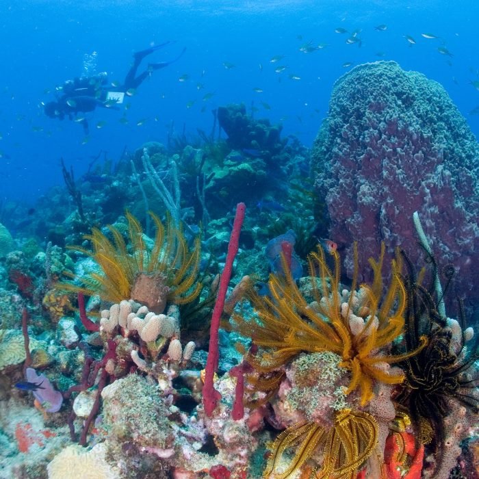 1000625371_da611c768237c7fab024ea218e016823-27_09_2024, 3_46_00 pm