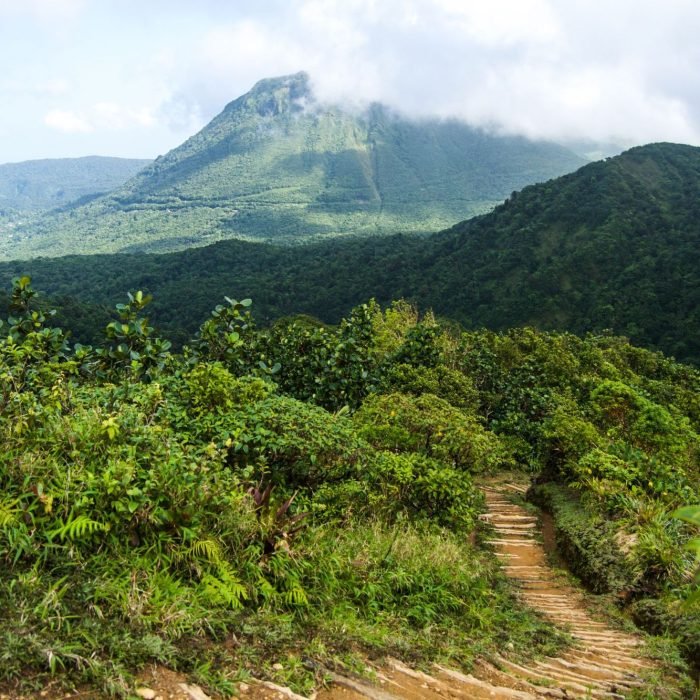 1000625412_f5e4cb71939646f52c229e1f238aaf47-27_09_2024, 3_59_34 pm