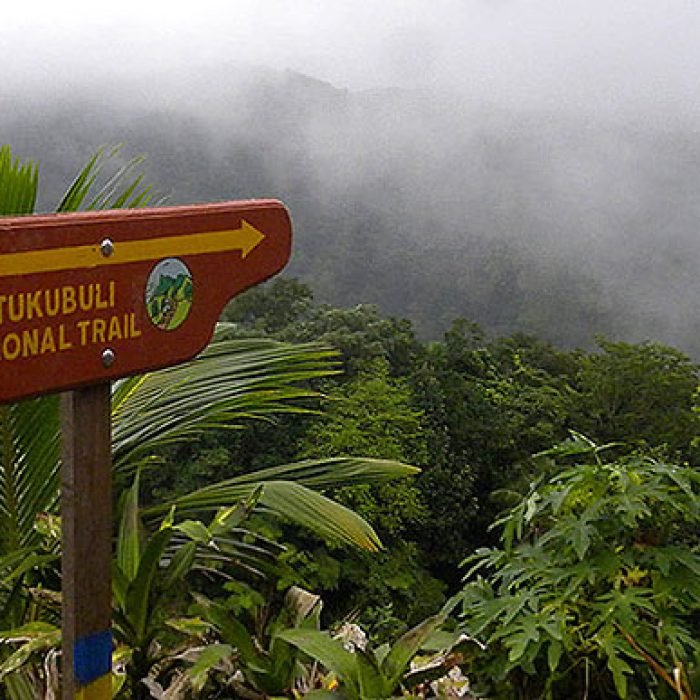 1000625413_cd4a7a8db59c9e2ce1990fcc1faa7ef8-27_09_2024, 3_59_24 pm