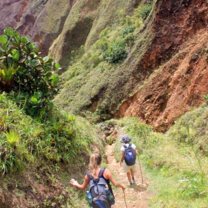 1000625415_7cded2a33fddb494af845ae8a787861a-27_09_2024, 4_03_24 pm