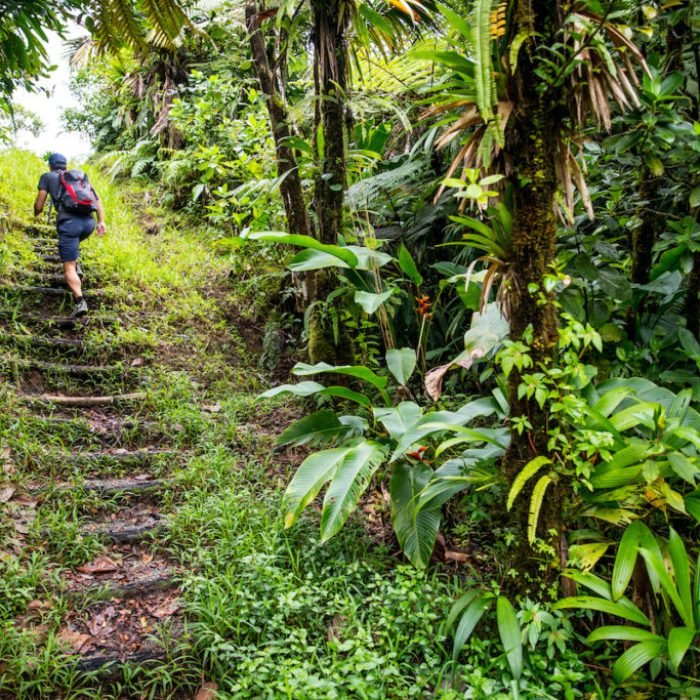 1000633021_76065f36b316ec0fcd5c49f71246bdc8-02_10_2024, 10_49_57 am