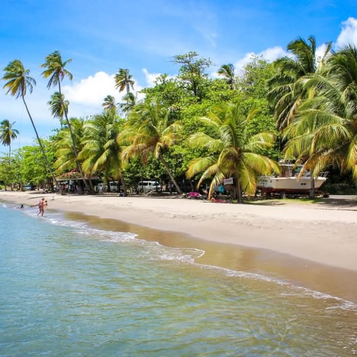 WhatsApp Image 2025-01-21 at 06.43.46-3